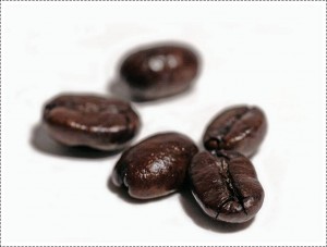 beans1