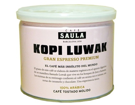 kopi-luwak-lata