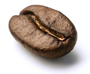 coffee-bean